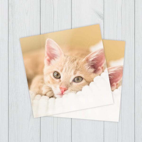 Póster Fotográfico papel sintético 80x180 cm